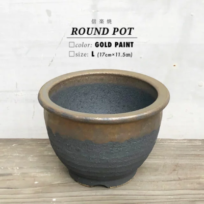 Kamiyama ROUND Pot Kinsai Shigarakiyaki Φ6.7”x 4.5" caudex Cactus Japan Bonsai