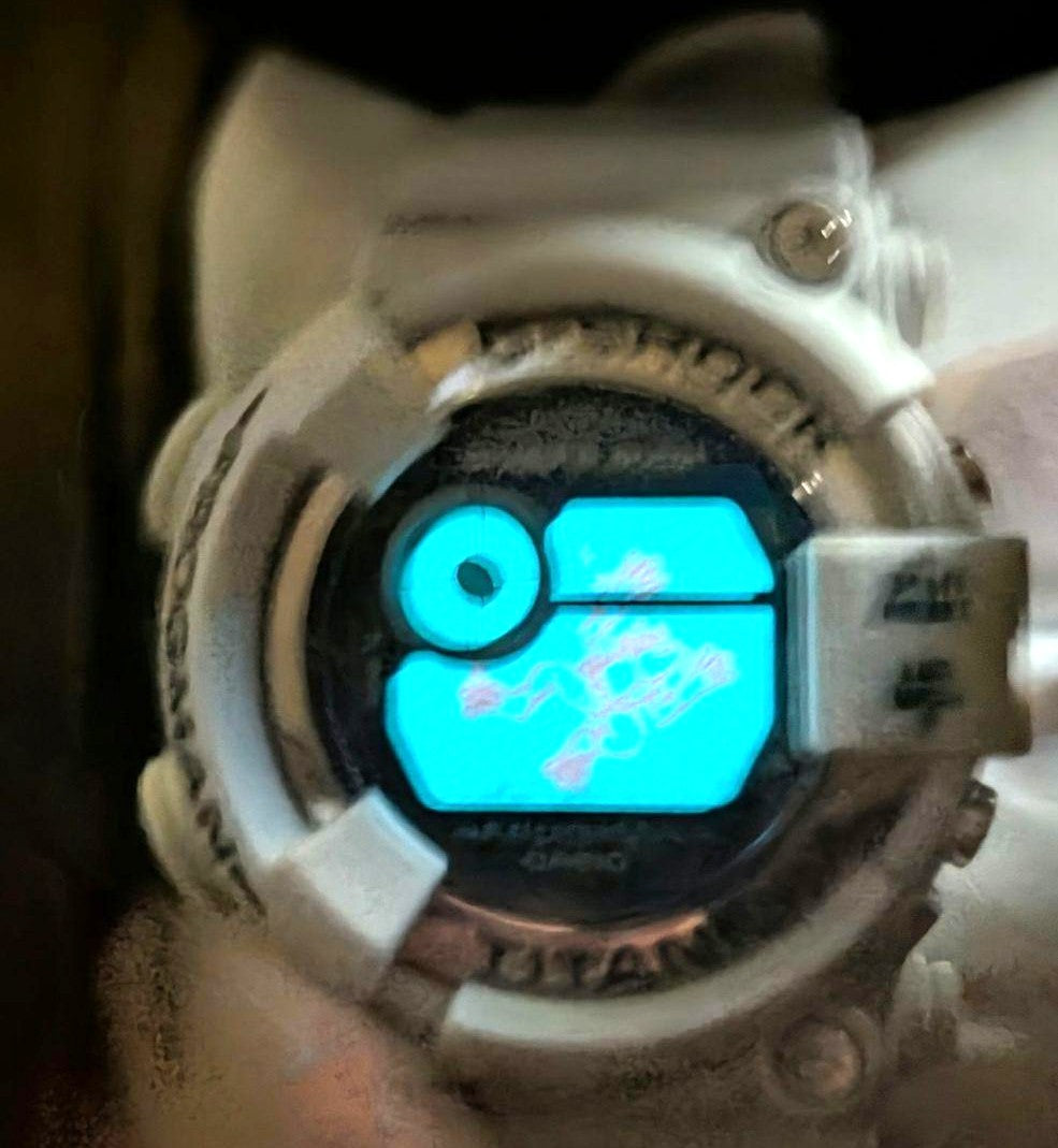 Casio G-SHOCK Frogman DW-8200LG-8JR White Titanium Diver Watch 200m EL Used