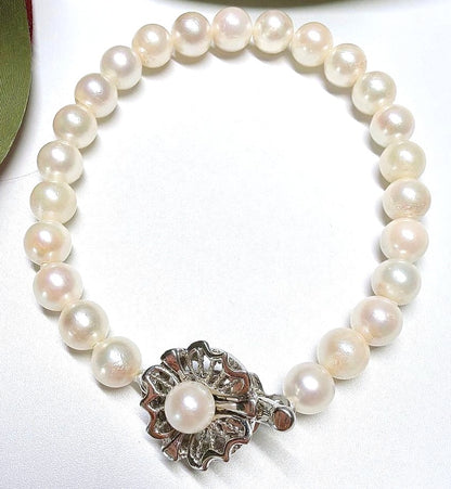 Akoya Cultured Pearl Bracelet 7.0mm Silver Clasp White Cream Japan 7.9in