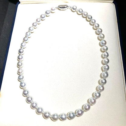 Akoya Pearl Necklace Blue Gray 8.5-9mm Semi-Round High Luster Silver Clasp 43cm