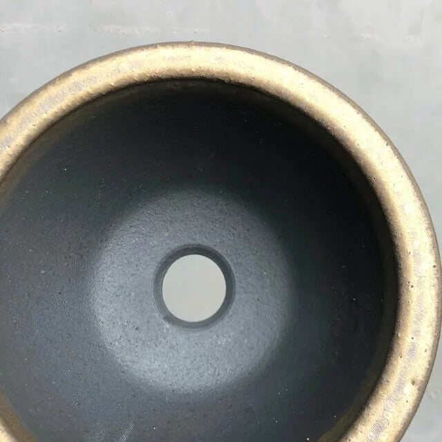 Kamiyama ROUND Pot Kinsai Shigarakiyaki Φ6.7”x 4.5" caudex Cactus Japan Bonsai