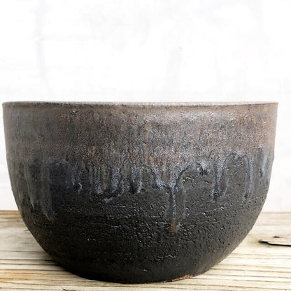 Kamiyama SHIRIMARU Kinsai Pot Shigarakiyaki Φ7”x 4.1" Agave Cactus Japan Bonsai