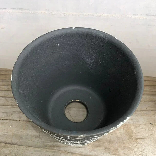 Kamiyama MIYABI Pot Shigarakiyaki Φ3.9”x 3.3" Agave caudex Cactus Japan Bonsai