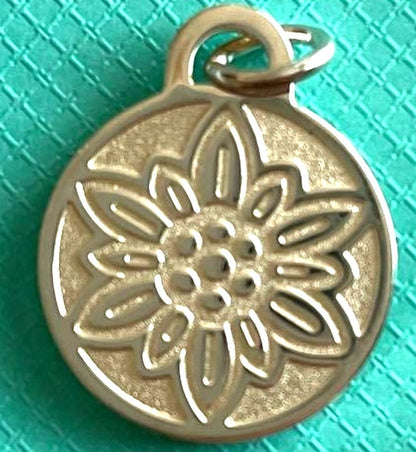 Tiffany & Co Nagoya Womens Marathon 2023 Finisher Pendant Charm GO WOMAN Silver