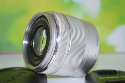 Excellent Panasonic LUMIX G VARIO 35-100mm F4.5-5.6 Silver Lens From Japan