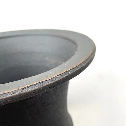 Kamiyama Omoto Pot Shigarakiyaki Φ6”x 5" Agave caudex Cactus Japanese Bonsai