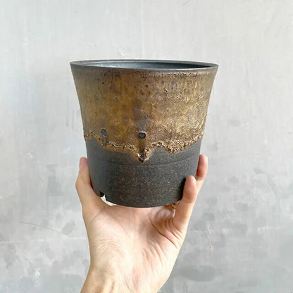 Kamiyama Standard Pot Shigarakiyaki Φ5.9”x 5.1" Agave caudex Cactus Japan Bonsai