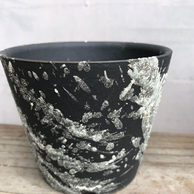 Kamiyama MIYABI Pot Shigarakiyaki Φ3.9”x 3.3" Agave caudex Cactus Japan Bonsai