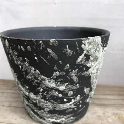 Kamiyama MIYABI Pot Shigarakiyaki Φ3.9”x 3.3" Agave caudex Cactus Japan Bonsai