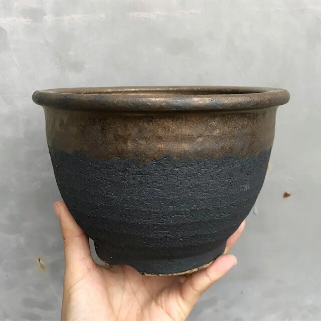 Kamiyama ROUND Pot Kinsai Shigarakiyaki Φ6.7”x 4.5" caudex Cactus Japan Bonsai