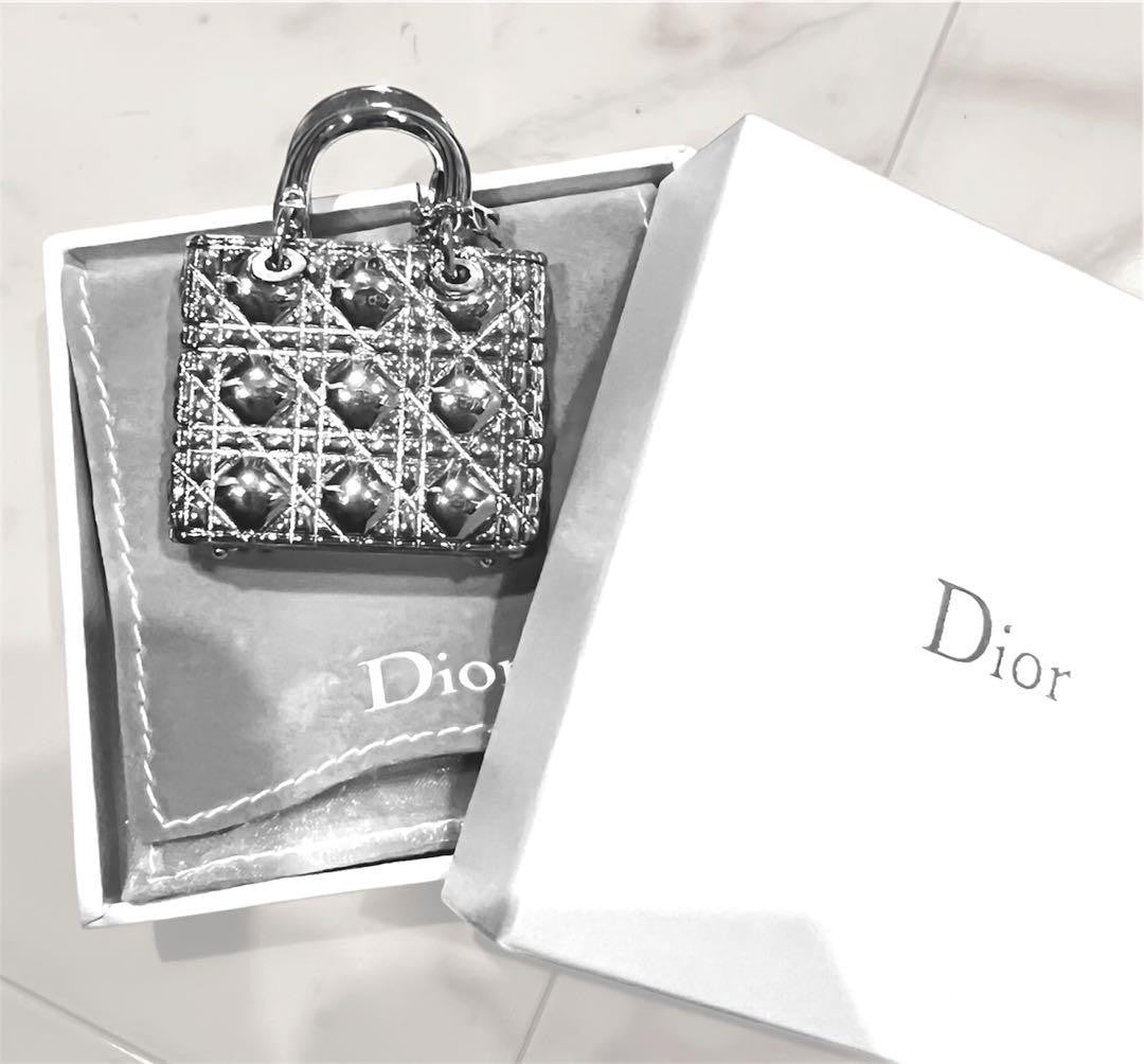 Christian Dior Lady Dior Cannage Pill Case Accessory Case Silver Tone Unused