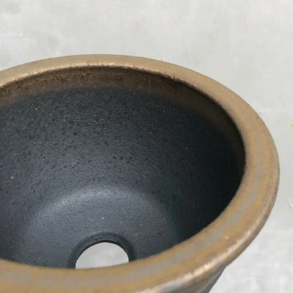Kamiyama ROUND Pot Kinsai Shigarakiyaki Φ6.7”x 4.5" caudex Cactus Japan Bonsai