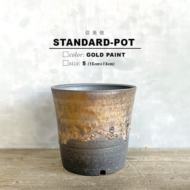 Kamiyama Standard Pot Shigarakiyaki Φ5.9”x 5.1" Agave caudex Cactus Japan Bonsai