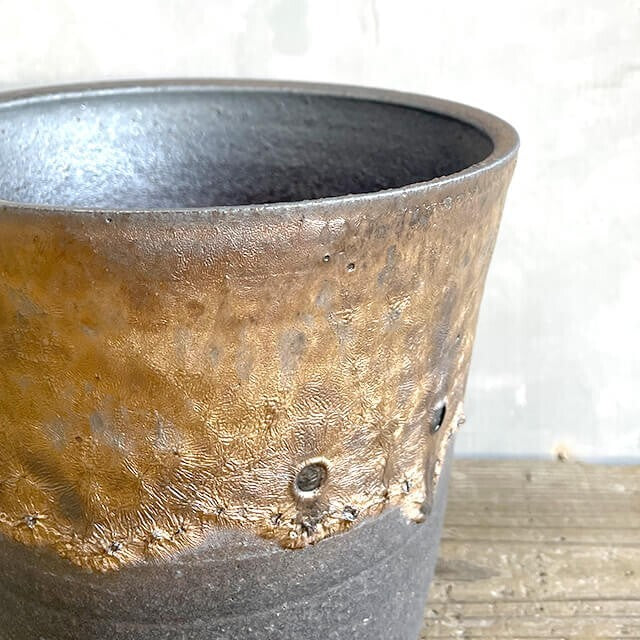 Kamiyama Standard Pot Shigarakiyaki Φ5.9”x 5.1" Agave caudex Cactus Japan Bonsai