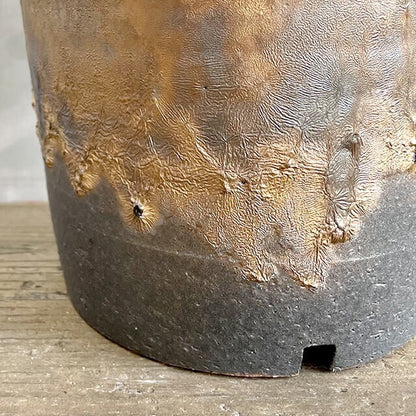 Kamiyama Standard Pot Shigarakiyaki Φ5.9”x 5.1" Agave caudex Cactus Japan Bonsai