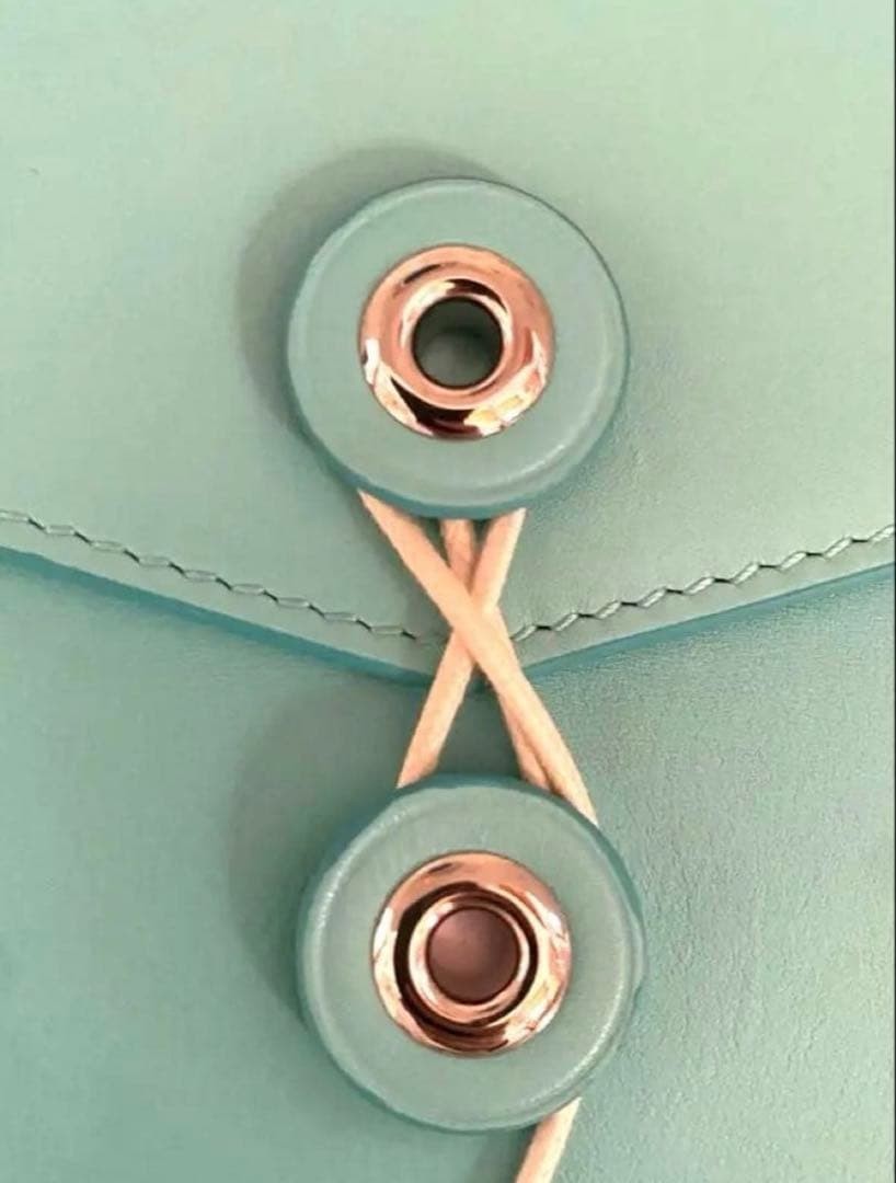 Rare Tiffany & Co Inter Office Envelope Document Case Limited Light Blue 23x15cm