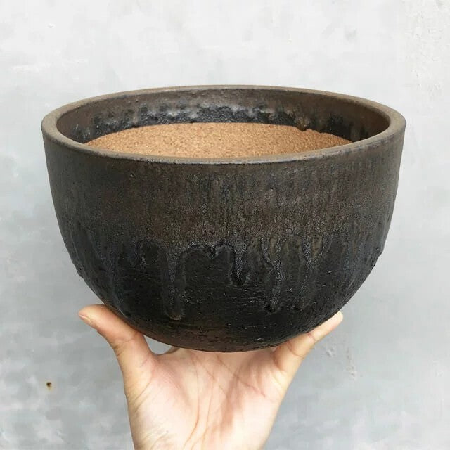 Kamiyama SHIRIMARU Kinsai Pot Shigarakiyaki Φ7”x 4.1" Agave Cactus Japan Bonsai
