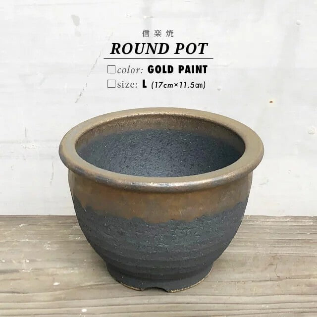 Kamiyama ROUND Pot Kinsai Shigarakiyaki Φ6.7”x 4.5" caudex Cactus Japan Bonsai