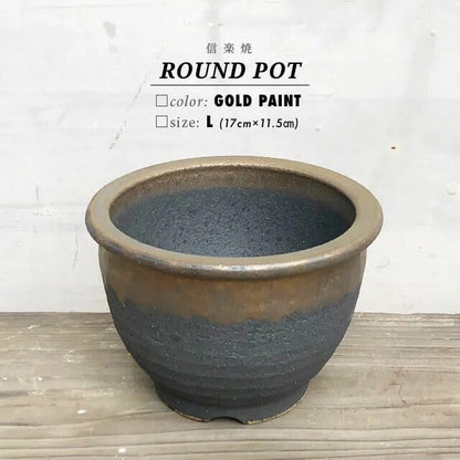 Kamiyama ROUND Pot Kinsai Shigarakiyaki Φ6.7”x 4.5" caudex Cactus Japan Bonsai