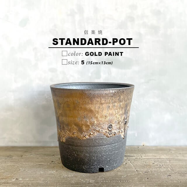 Kamiyama Standard Pot Shigarakiyaki Φ5.9”x 5.1" Agave caudex Cactus Japan Bonsai