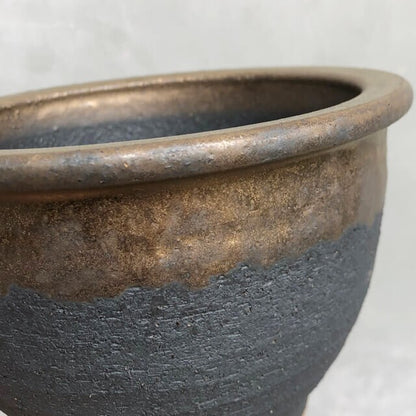 Kamiyama ROUND Pot Kinsai Shigarakiyaki Φ6.7”x 4.5" caudex Cactus Japan Bonsai
