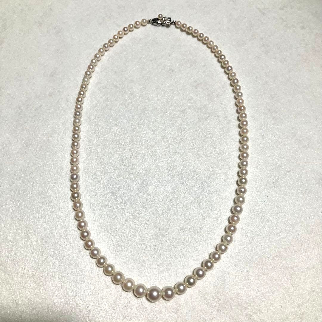 Akoya Pearl Graduated Necklace White Real Pearl 4-8mm 17.5in Silver Clasp