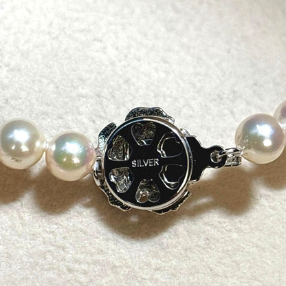 Akoya Pearl Necklace 6.0-6.5mm Cream Strong Luster Silver Clasp 42cm 16.5in