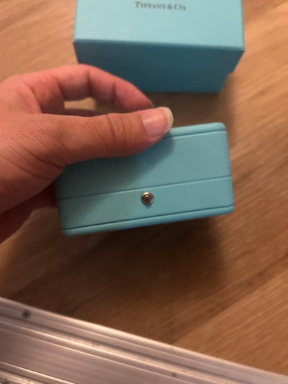 Tiffany & Co. Tiffany Blue Earrings Case  Display Box