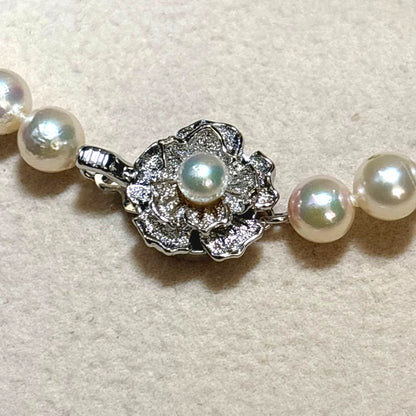 Akoya Pearl Necklace 6.0-6.5mm Cream Strong Luster Silver Clasp 42cm 16.5in