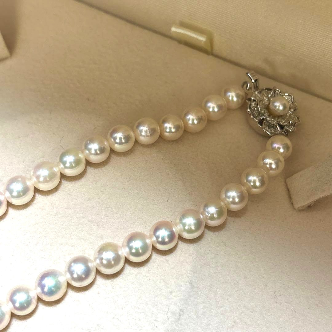 Akoya Pearl Necklace 6.0-6.5mm Cream Strong Luster Silver Clasp 42cm 16.5in