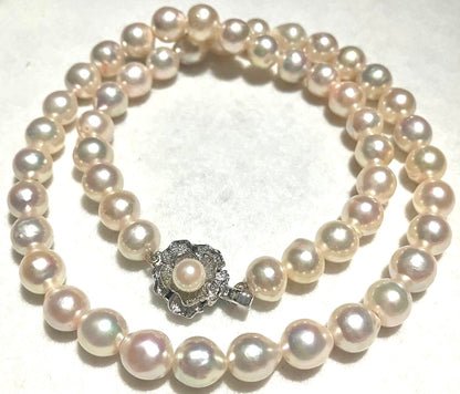 Akoya Pearl Necklace 8.0-8.5mm White High Luster Silver Flower Clasp 17.9in